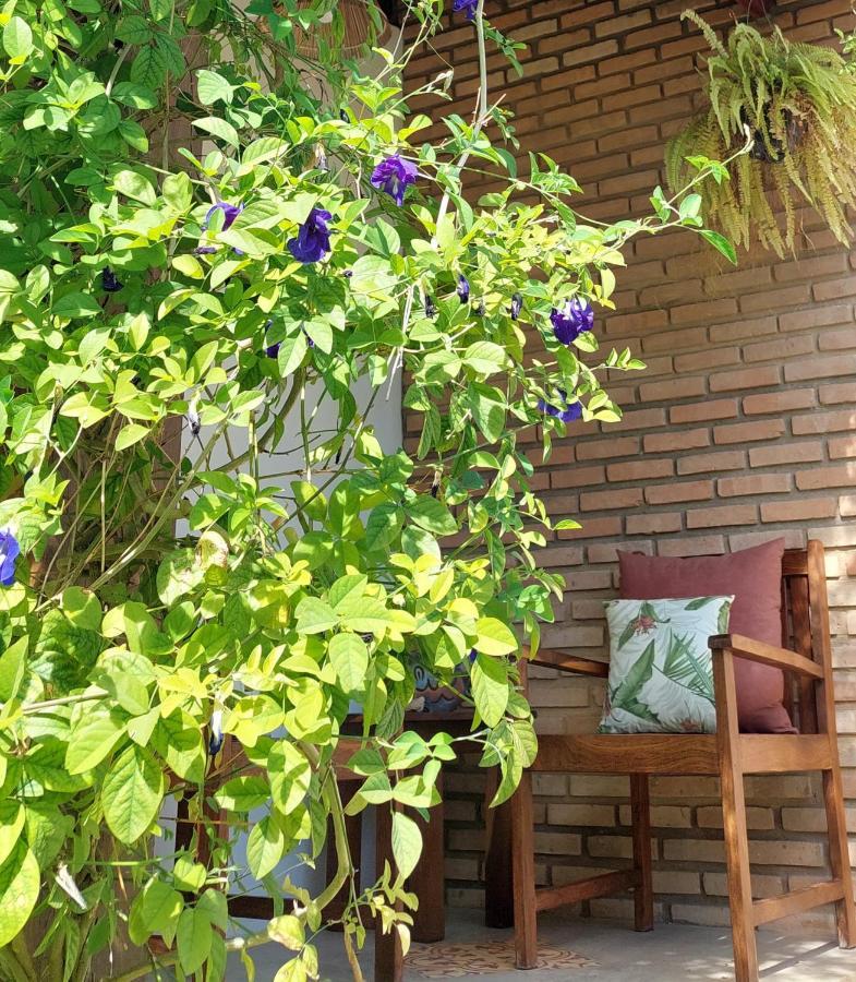 Arataba Hotel Boutique E Bistro - 150 Mts Do Mar Pôrto de Pedras Екстериор снимка